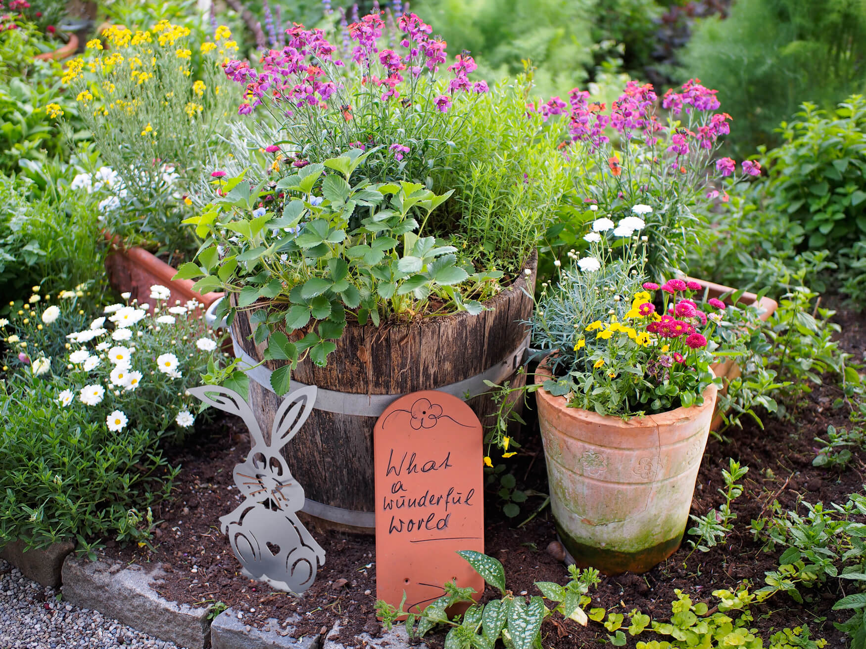 Ein beeindruckendes Bild von einem Edelstahlhasen, der elegant in einem lebendigen Steingarten platziert ist. Dieses harmonische Zusammenspiel von modernem Design und natürlicher Schönheit verleiht Ihrem Garten eine zeitgemäße Note. Die Kontraste zwischen dem metallischen Glanz des Hasen und der bunten Vielfalt des Steingartens schaffen eine faszinierende Szenerie, die die Aufmerksamkeit auf sich zieht und die Sinne anspricht.