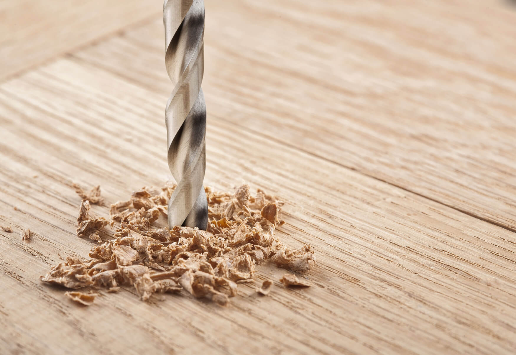 Ein faszinierendes Foto zeigt einen Holzbohrer in Aktion, der sich kraftvoll durch das Holz arbeitet. Die Aufnahme fängt die Dynamik und Präzision des Bohrvorgangs ein, während Holzspäne in der Luft wirbeln und die Arbeit des Werkzeugs veranschaulichen. Dieses Bild strahlt Handwerkskunst und die Schönheit der Holzbearbeitung aus, wobei der Bohrer als Symbol für Geschicklichkeit und Präzision steht.