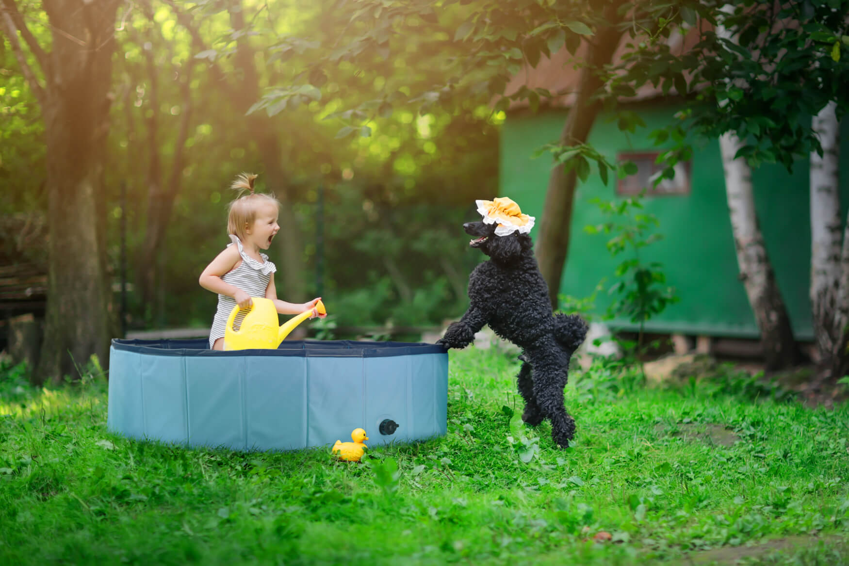 Ein bezauberndes Foto zeigt ein Kind, das fröhlich mit einem schwarzen Pudel in einem kleinen Aufstellpool im Garten spielt. Diese herzerwärmende Szene fängt die spielerische Freude und die Verbundenheit zwischen Kind und Hund ein. Perfekt für Lifestyle-Fotografie und die Darstellung von Familienmomente im Garten. Besuchen Sie meine Website, um mehr hochwertige Aufnahmen für Ihre Produktpräsentation und Markenfotografie zu entdecken.