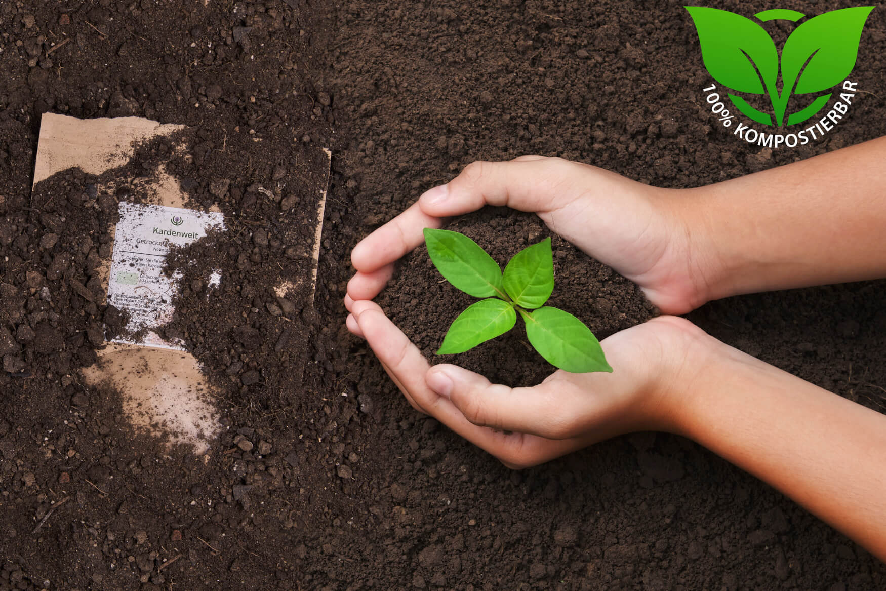 Verpackung, die in der Erde zur Kompostierung vergraben ist, im Rahmen eines umweltfreundlichen Entsorgungsprozesses zur Reduzierung von Abfall und Förderung der Nachhaltigkeit.