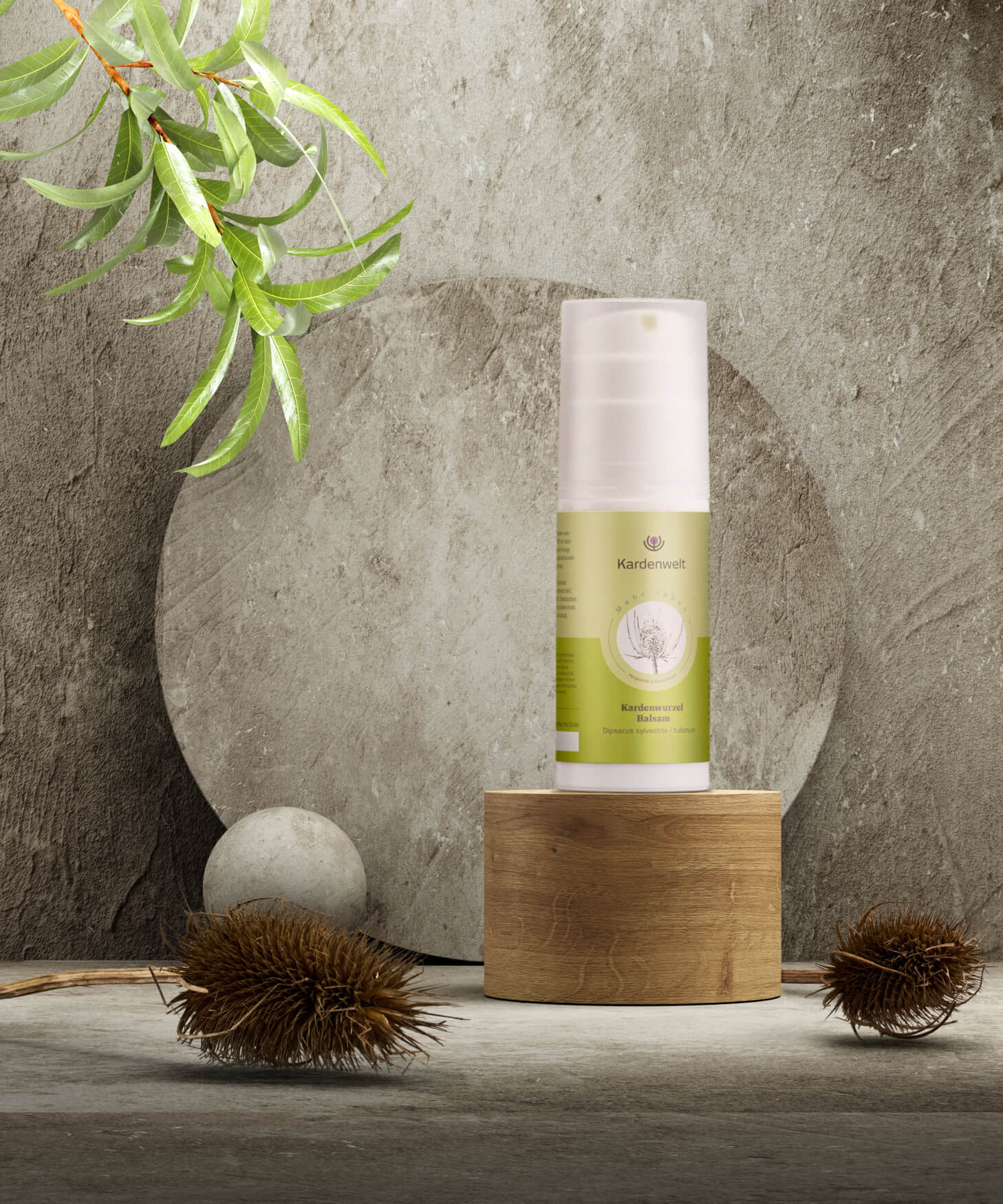 Eine Salbe auf einem Holzzylinder, umgeben von einem Betonhintergrund und verschiedenen geometrischen Formen. Eine Pflanze ragt ins Bild und verleiht eine Verbindung zwischen modernem Look und klassischem Kräuterkundeansatz. Unsere Fotografien verbinden zeitgemäßes Design mit traditionellen Elementen, um die Produkte unserer Kunden optimal zu präsentieren